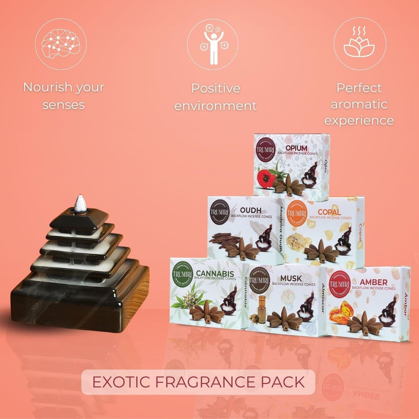 Exotic Scents Backflow Incense Cones Variety Pack of 6 Scents with 10 Waterfall Cones per Scent - Total 60 Cones