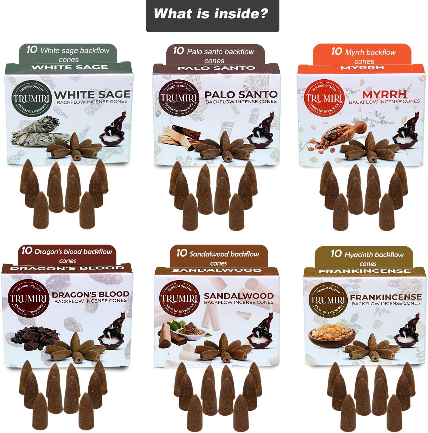 Woody Scents Backflow Incense Cones Variety Pack of 6 Scents with 10 Waterfall Cones per Scent - Total 60 Cones