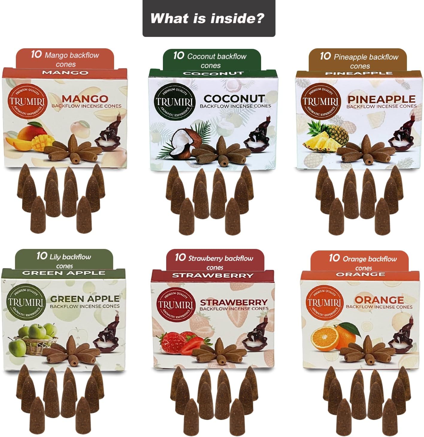 Fruity Scents Backflow Incense Cones Variety Pack of 6 Scents with 10 Waterfall Cones per Scent - Total 60 Cones