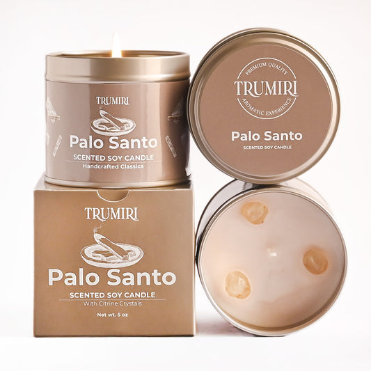 Palo Santo Candle with Crystals, Natural Non Toxic Soy Wax, Highly Fragrant Essential Oils, Masculine Scented for Men, Home and Room Décor - Long Lasting 5oz