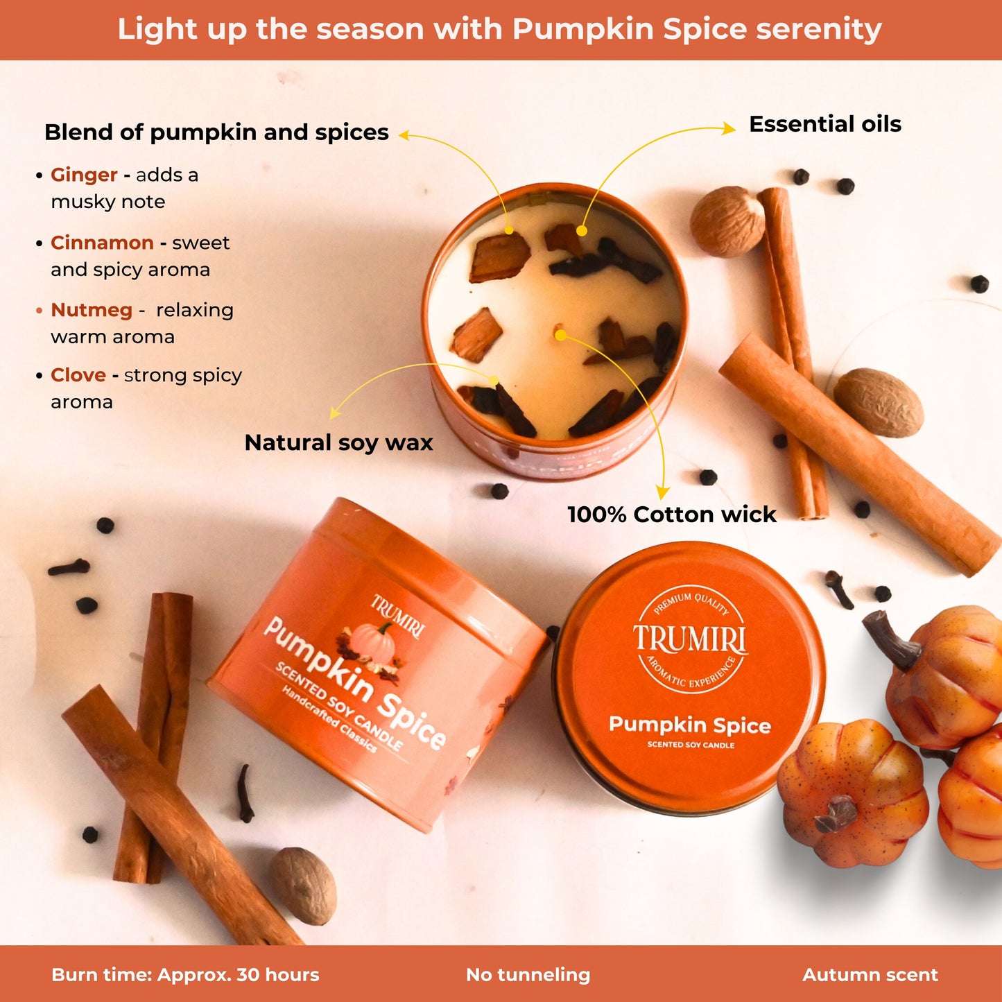 Pumpkin Spice Candle for Fall Christmas Holidays - Natural Non Toxic Soy Wax, Cinnamon and Essential oils - Highly Scented, Long Lasting - Luxury Gifts for Home Halloween Thanksgiving - 5oz